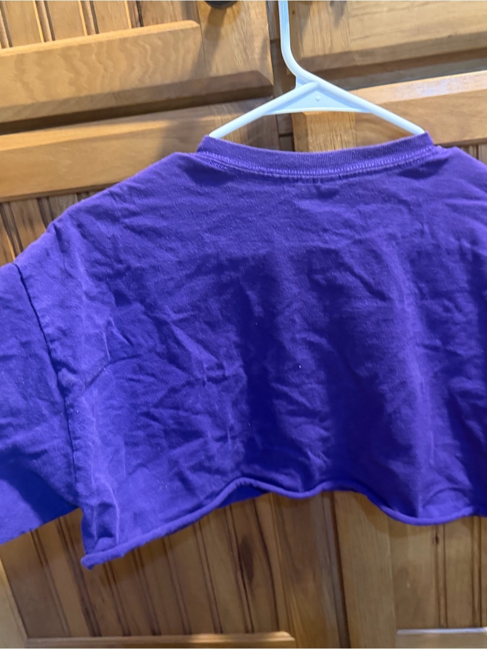 Purple "Death Valley" Cropped Graphic Tee - Picture 3 of 3
